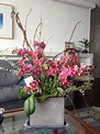 Orchid arrangement with spirea | Orchid flower arrangements, Indoor ...