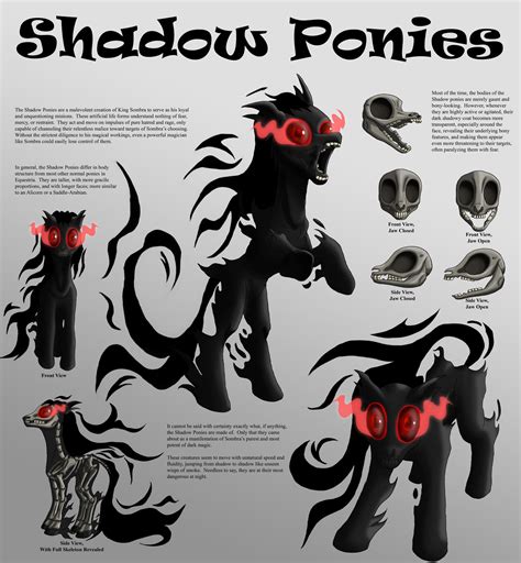 Shadow Ponies Character Sheet By Starbat On Deviantart