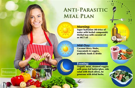 321 Natural Anti Parasite Diet