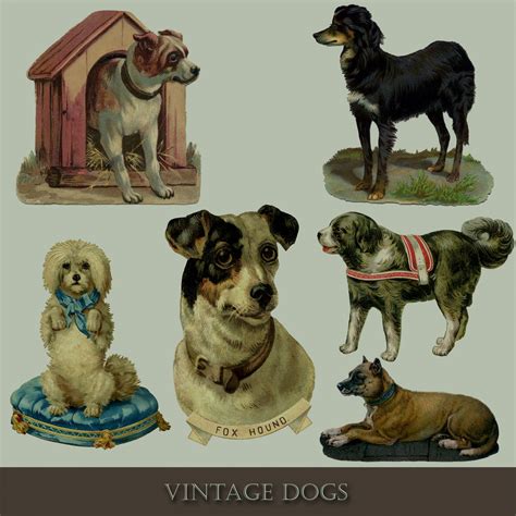 Vintage Dog Set Illustrations Free Stock Photo Public Domain Pictures