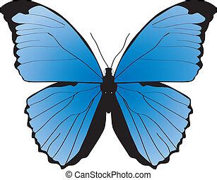 Mariposa Vector Clipart EPS Images. 58 Mariposa clip art vector illustrations available to ...