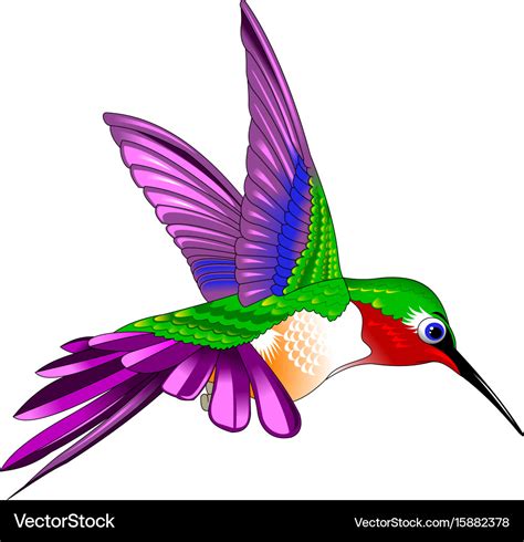 Hummingbird Royalty Free Vector Image Vectorstock