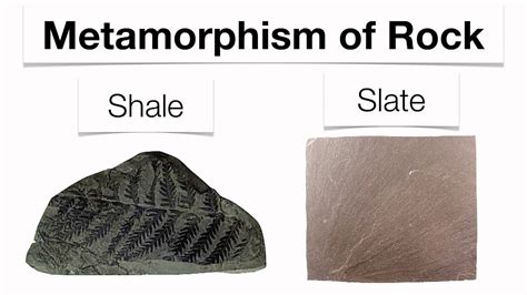 Metamorphic Rock Examples
