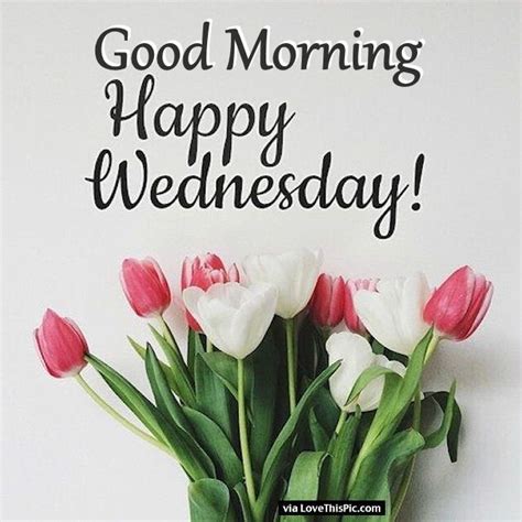 Good Morning Happy Wednesday Flowers Pictures Photos And Images For