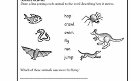 animal worksheet: NEW 147 ANIMAL NEEDS WORKSHEETS GRADE 2