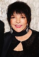 Liza Minnelli Asked for Help With Her Alcohol Addiction Before Entering ...