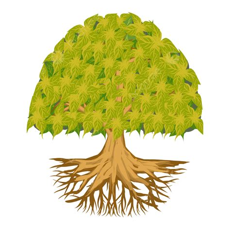 Gambar Ilustrasi Bonsai Pohon Beringin Untuk Dekorasi Taman Bonsai