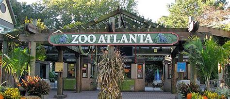 Atlanta Georgia Zoo Zoo In North Ga Atlanta Attractions