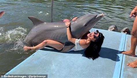 Moment A Woman Is Unexpectedly Humped By A Dolphin Daily Mail Online