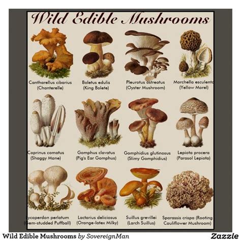 Types Of Edible Mushrooms Easy Steps To Growing Wild Mushrooms At