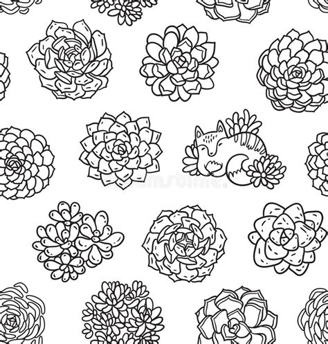 We have selected for you the most beautiful pictures for coloring. Succulents Outline Seamless Pattern. Ideal For Coloring ...