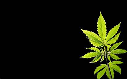 Weed Wallpapers Cannabis Desktop Marijuana Backgrounds Leaf