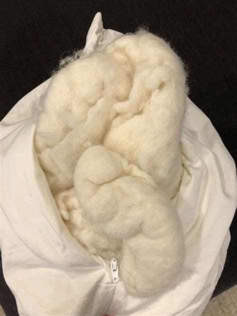 Can A Wool Pillow Help You Sleep Better Without Foul Odors Wool