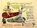 Walking My Baby Back Home Janet Leigh Donald O'Connor 1953 Movie Poster ...