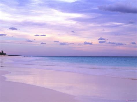 Pink Beach In The Bahamas Wallpapers And Images Wallpapers Pictures