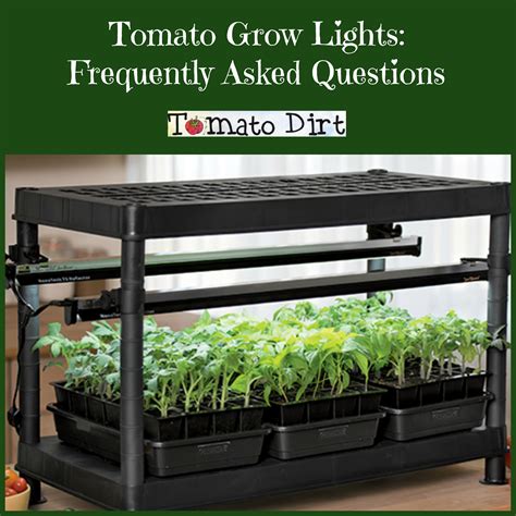 We did not find results for: Tomato Grow Lights for Seedlings: Frequently Asked Questions