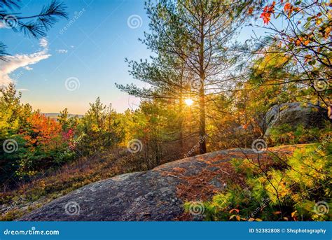 Sun Shines Through Trees In A Rocky Forest Stock Photo Image Of