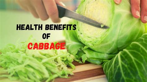 Health Benefits Of Cabbage Health Fitness Glamour