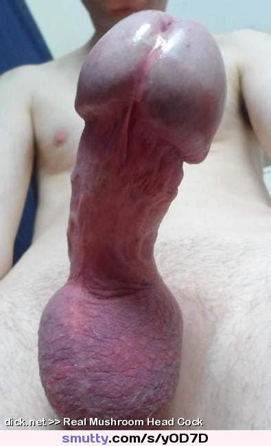 Mushroomhead Cock Bigcock Bigdick Dick Gay Bi