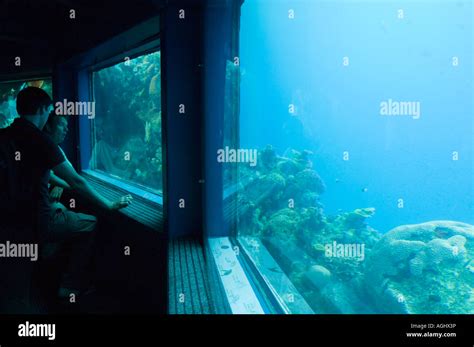 Israel Red Sea Eilat The Underwater Observatory Marine Park Two Men In