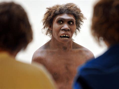 Neanderthals Lived Alongside Humans For Centuries Latest Study Shows