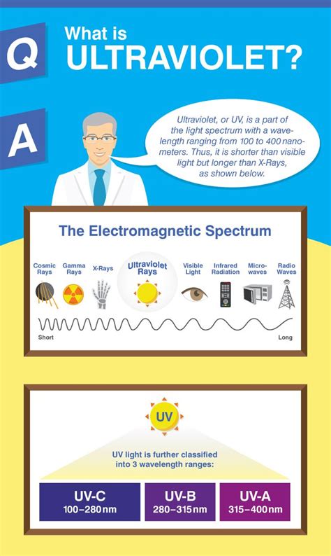 What Is Ultraviolet Light Infographic