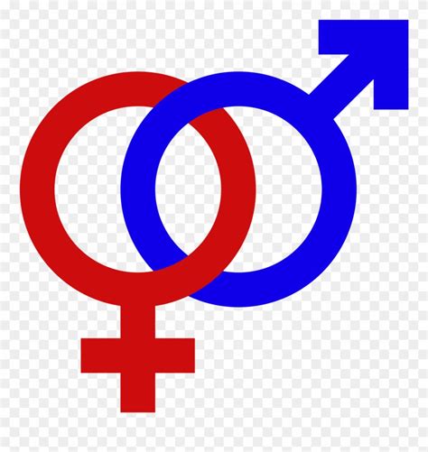 Male Female Gender Signs Gender Symbol Set Male Female Male And