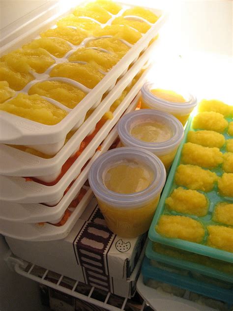 How To Freeze Organic Baby Food