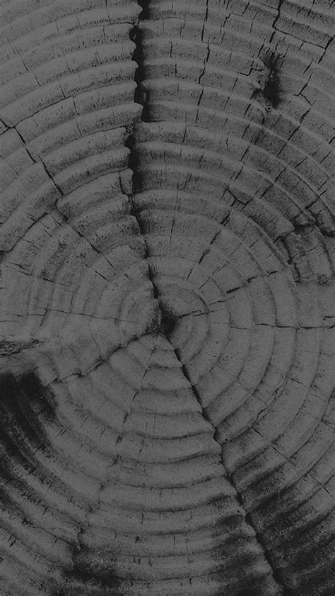 Old Tree Texture Pattern Dark Iphone Wallpapers Free Download