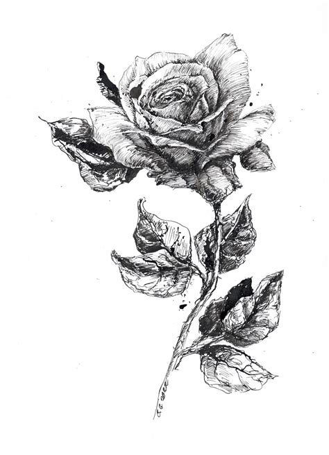 Original Artwork Rose Ink Sketch Rose Drawing Original Art Rose Original Sketch Art Flower