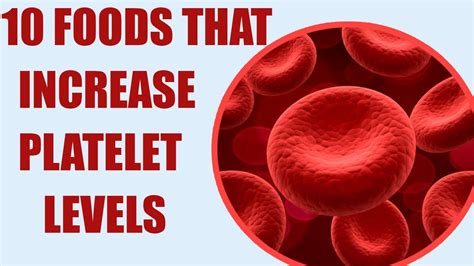 10 Foods That Increase Blood Platelets ये भोजन बढ़ाते हैं प्लेटलेट्स
