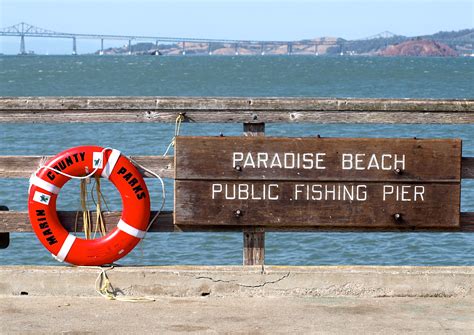 A fishing permit allows one to park and fish after dark, after the parks are closed to the public. Paradise Beach Pier — Tiburon - Pier Fishing in California