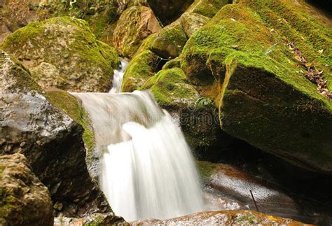 Pure Fresh Water Waterfall Running Over Mossy Rocks In The Forest Stock