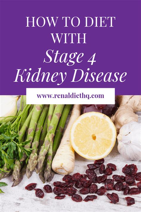 Stage 4 Kidney Failure Diet Renal Diet Menu Headquarters Kidney