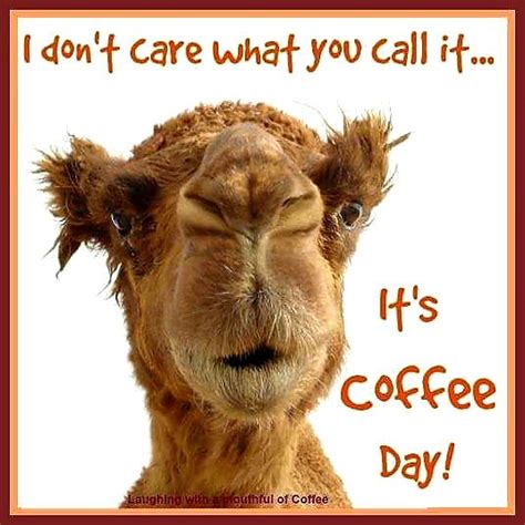 Happy Hump I Mean Coffee Day☕ Wednesday Coffee Coffee Meme