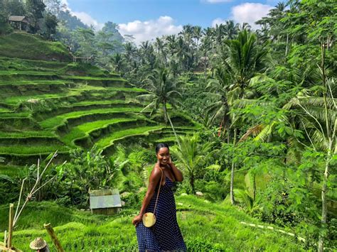 Private Ubud Rice Terrace Tour With Waterfall Temple And Coffee Plantation Denpasar City Benoa