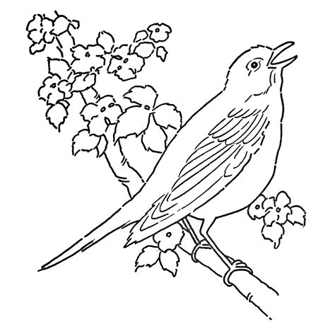 Line Art Coloring Page Bird With Blossoms The Graphics Fairy