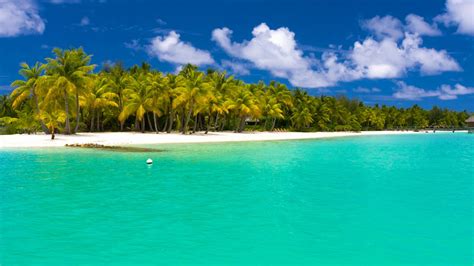 Download Wallpaper 1366x768 Summer Maldives Tropical Beach Palm