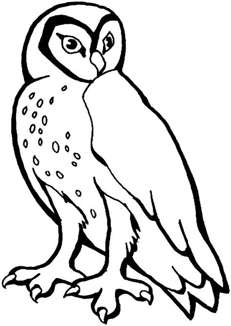 This printable owl coloring page template is an excellent way to celebrate fall and the animals that live in our woods such as the barn owl and snowy owl. Coloring: Snowy Owl Coloring Pages | Animal coloring pages ...