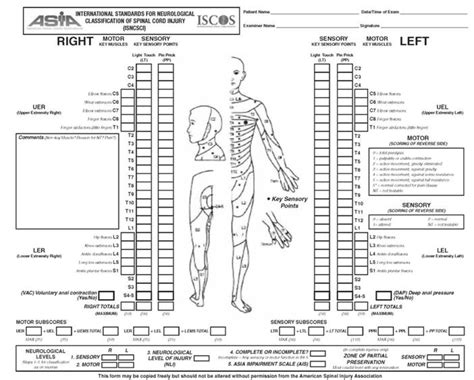 Classification Of Spinal Cord Injury Level Of Injury—asia Impairment