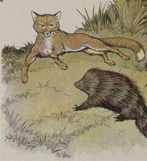 Aesops Fables The Fox And The Hedgehog Aesops Fables Cunning Fox