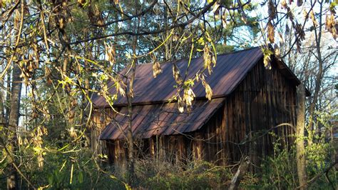 Free Images Tree Nature Forest Wilderness Farm Leaf Rustic Hut