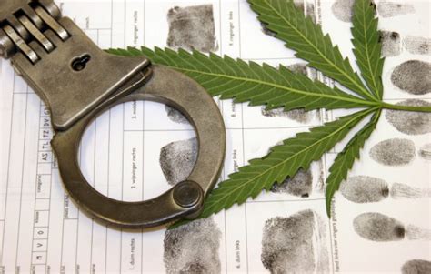 Why Cannabis Arrest Rates Are Falling Freedom Leaf Freedom Leaf