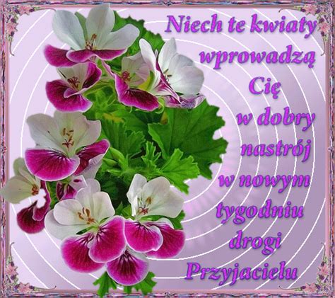Kwiaty Na Nowy Tydzień - Gify i obrazki na Animowane-Gify.pl