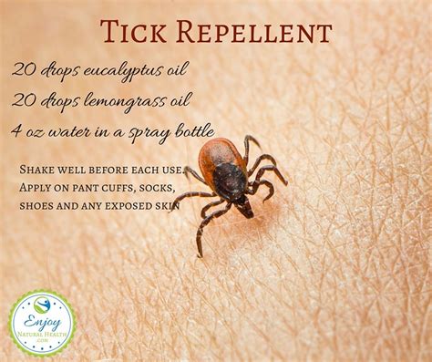 Essential Oils For Lyme Disease Enjoy Natural Health Tick Repellent