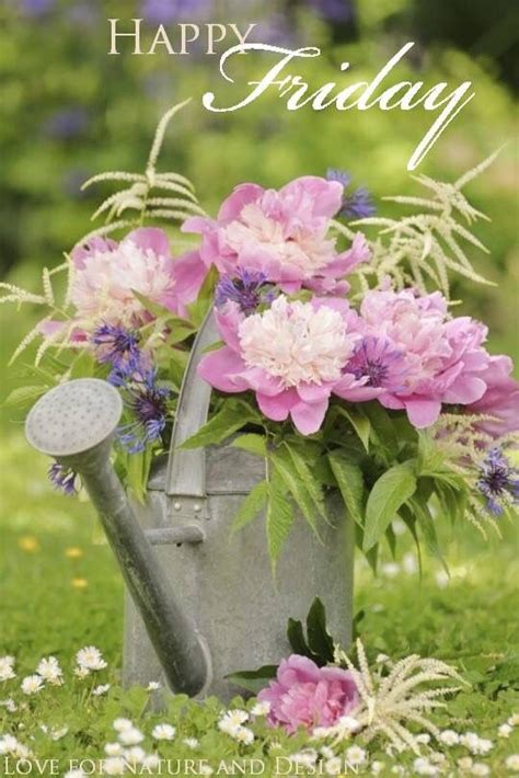 Happy Friday ️ Wild Flowers Beautiful Flowers Monet Garden Giverny