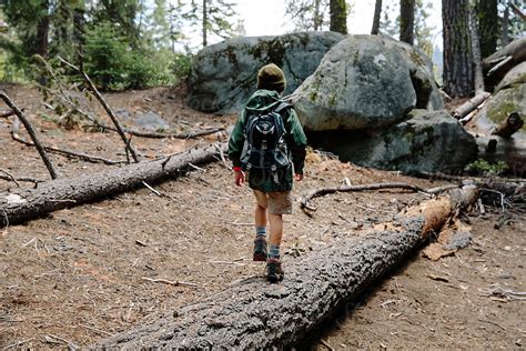 Young Adventurer And Explorer Walking On A Fallen Log In The Woods By