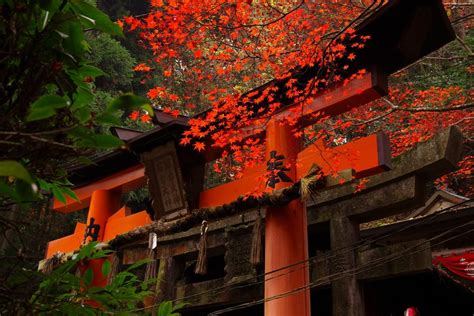 Kyoto Tourist Spot