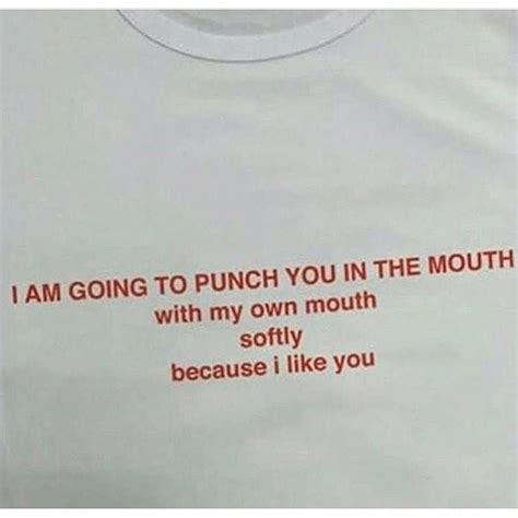 i am going to punch you in the mouth with my own mouth softly because i like you quotes