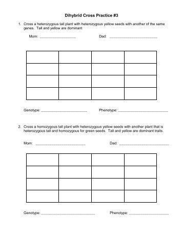 421 a plant species has two alleles for seed shape: Zork Genetics Worksheet Answers